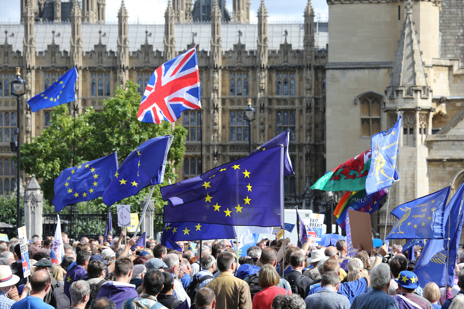 Brexit demo
