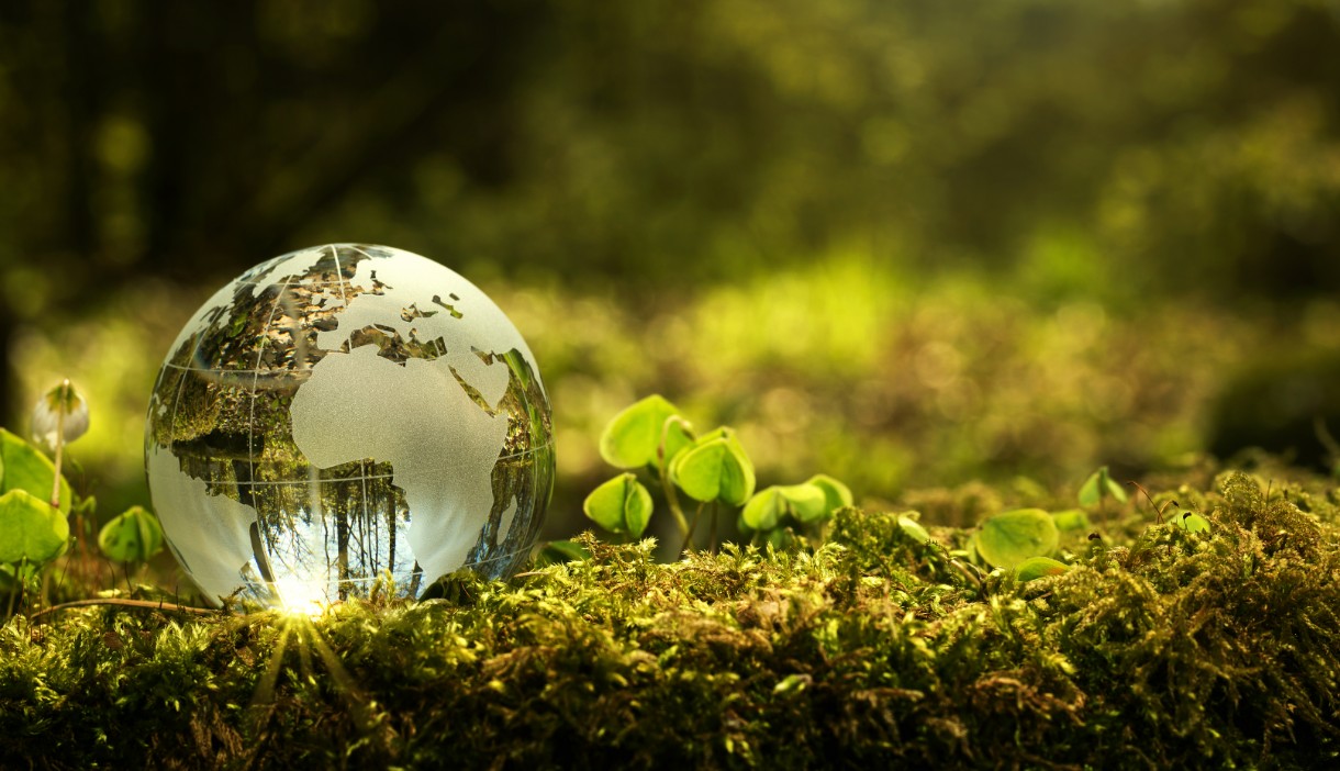 Green glass globe