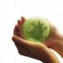 Green globe