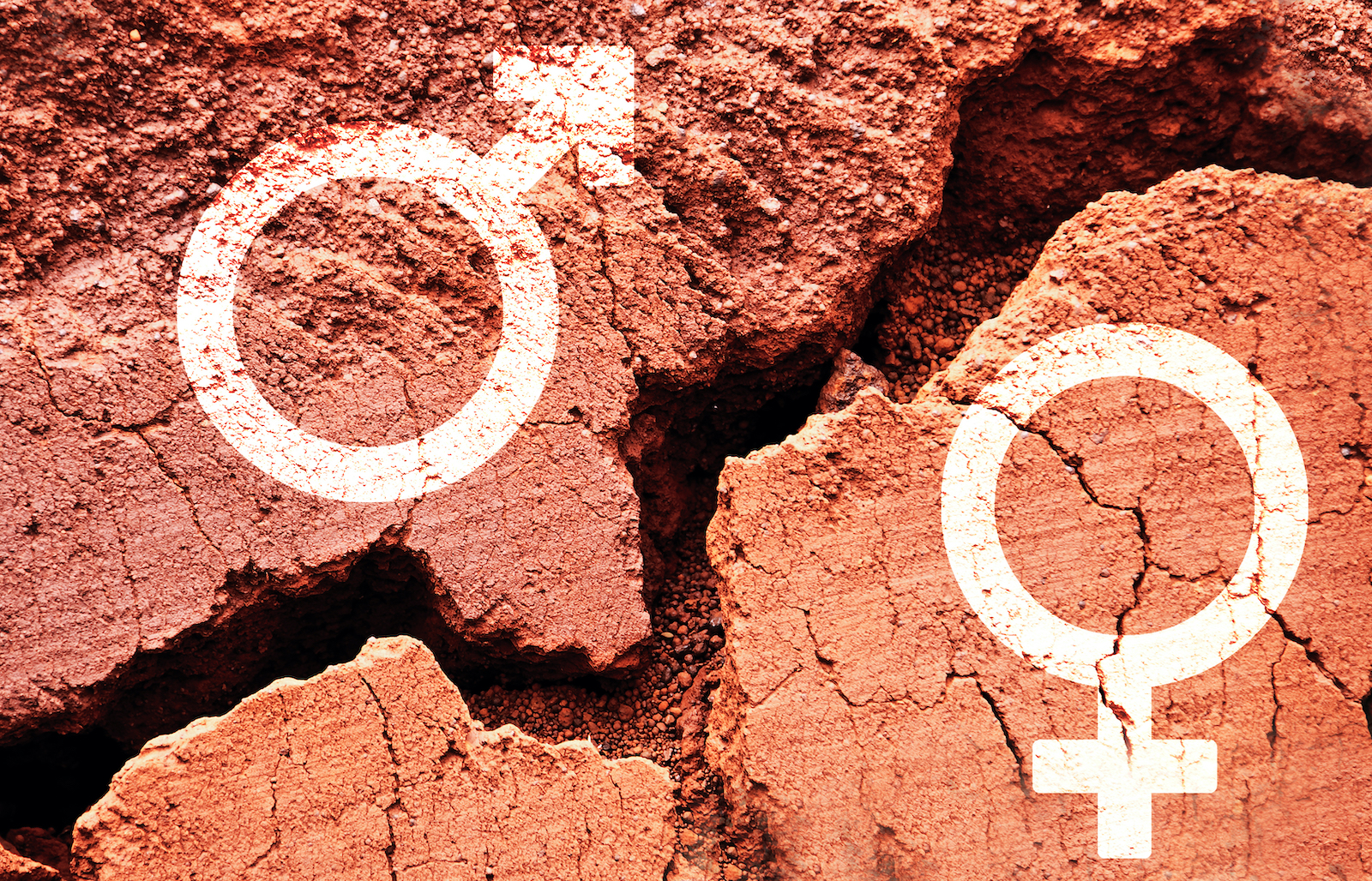 Gender gap