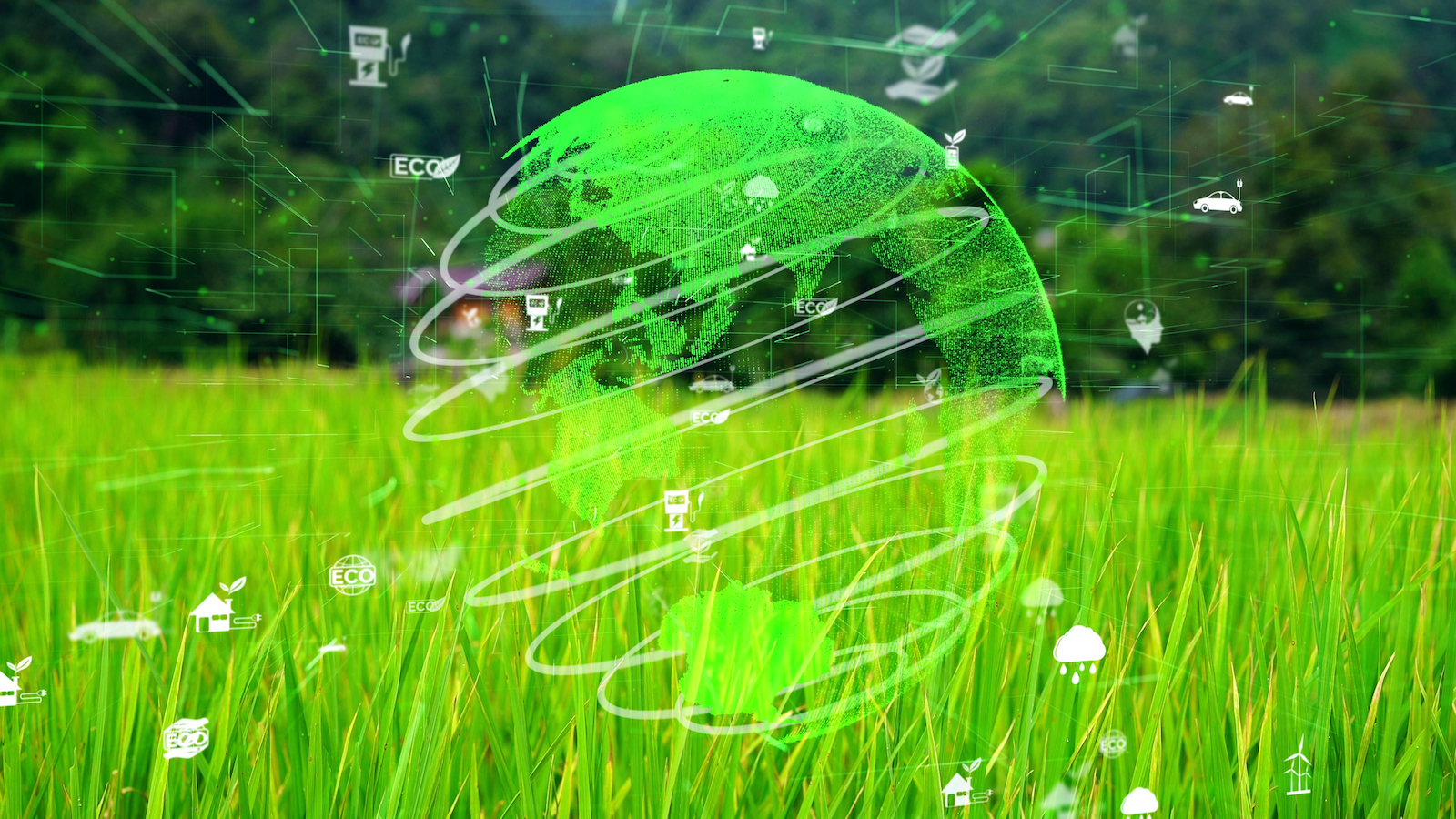 Global ESG Investing