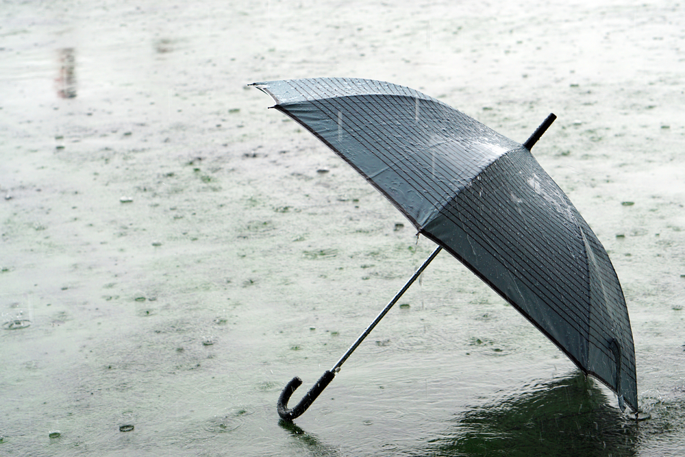 Rainy day