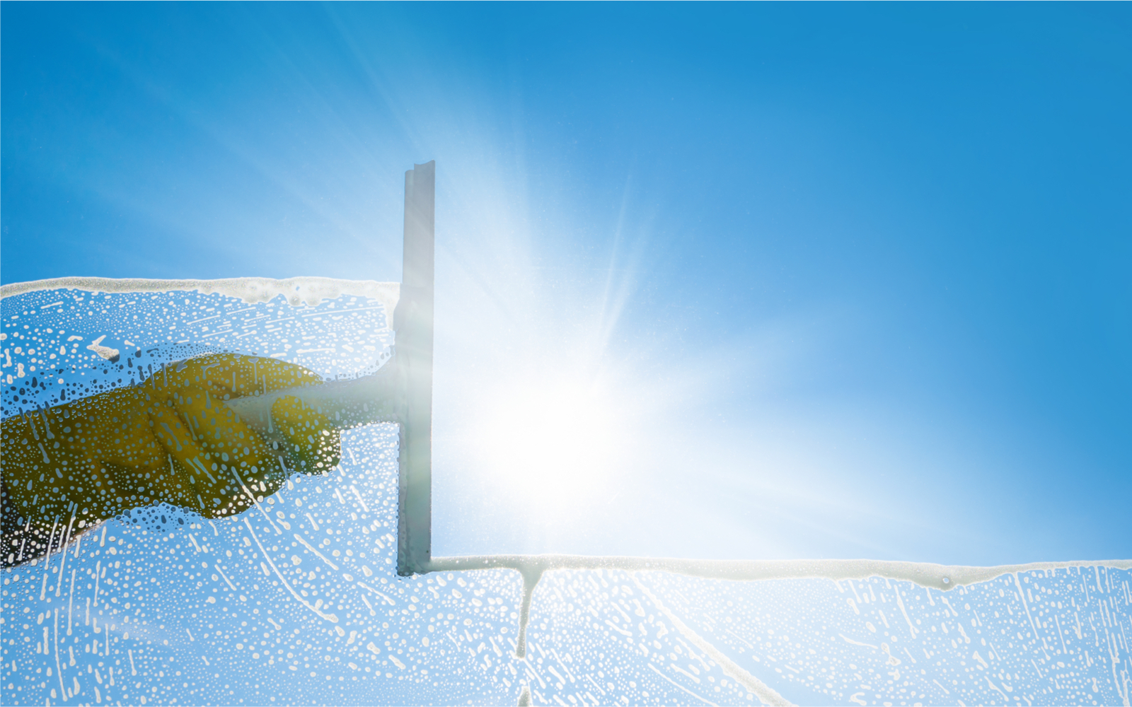 Sunny outlook
